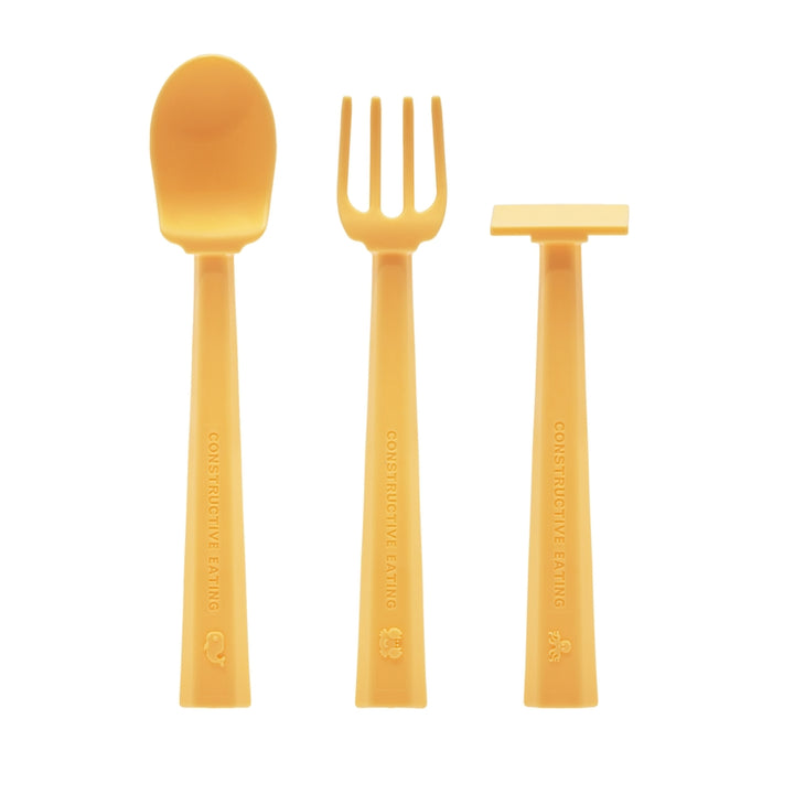 Turtle Suction Plate and Training Utensils tools