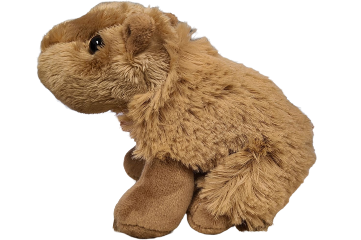 Steve Canned Capybara side