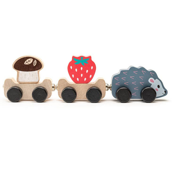 Hedgehog Train