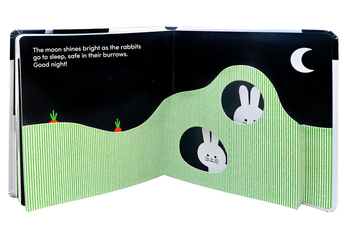 Animals at Home book rabbits