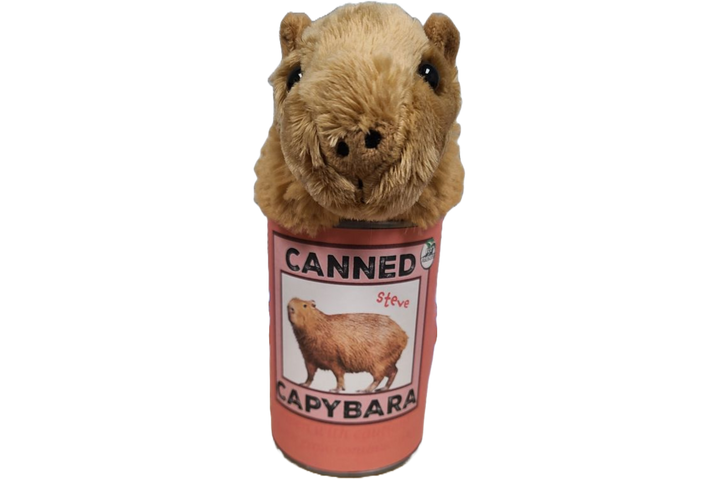 Steve Canned Capybara front top
