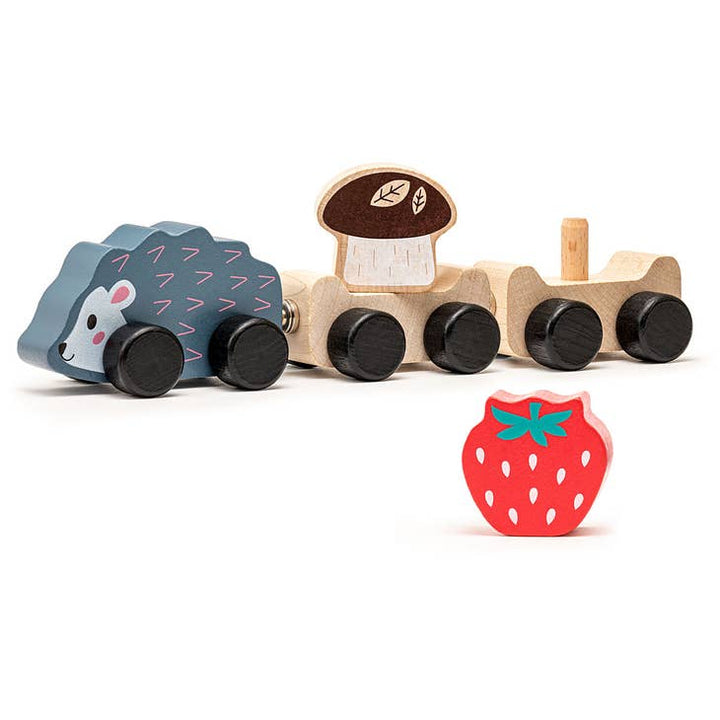 Hedgehog Train