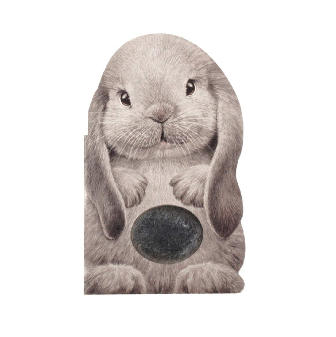 Furry Bunny