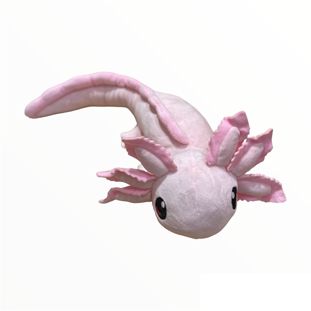 Axol The Axolotl – Maya Papaya And Tony Macarony