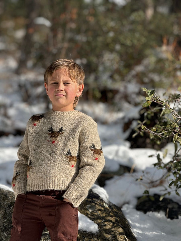 Me and Henry Rudy Reindeer Sweater model woods