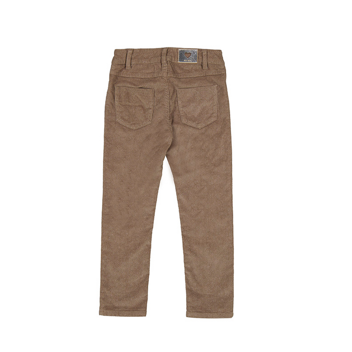 Sparkle Corduroy Pants in Brown