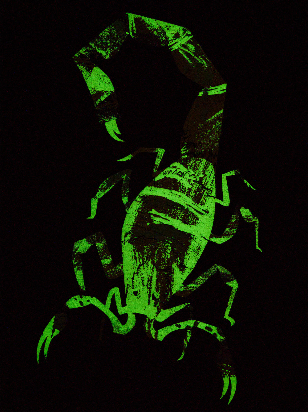 Tea Collection Scorpion Glow Tee detail