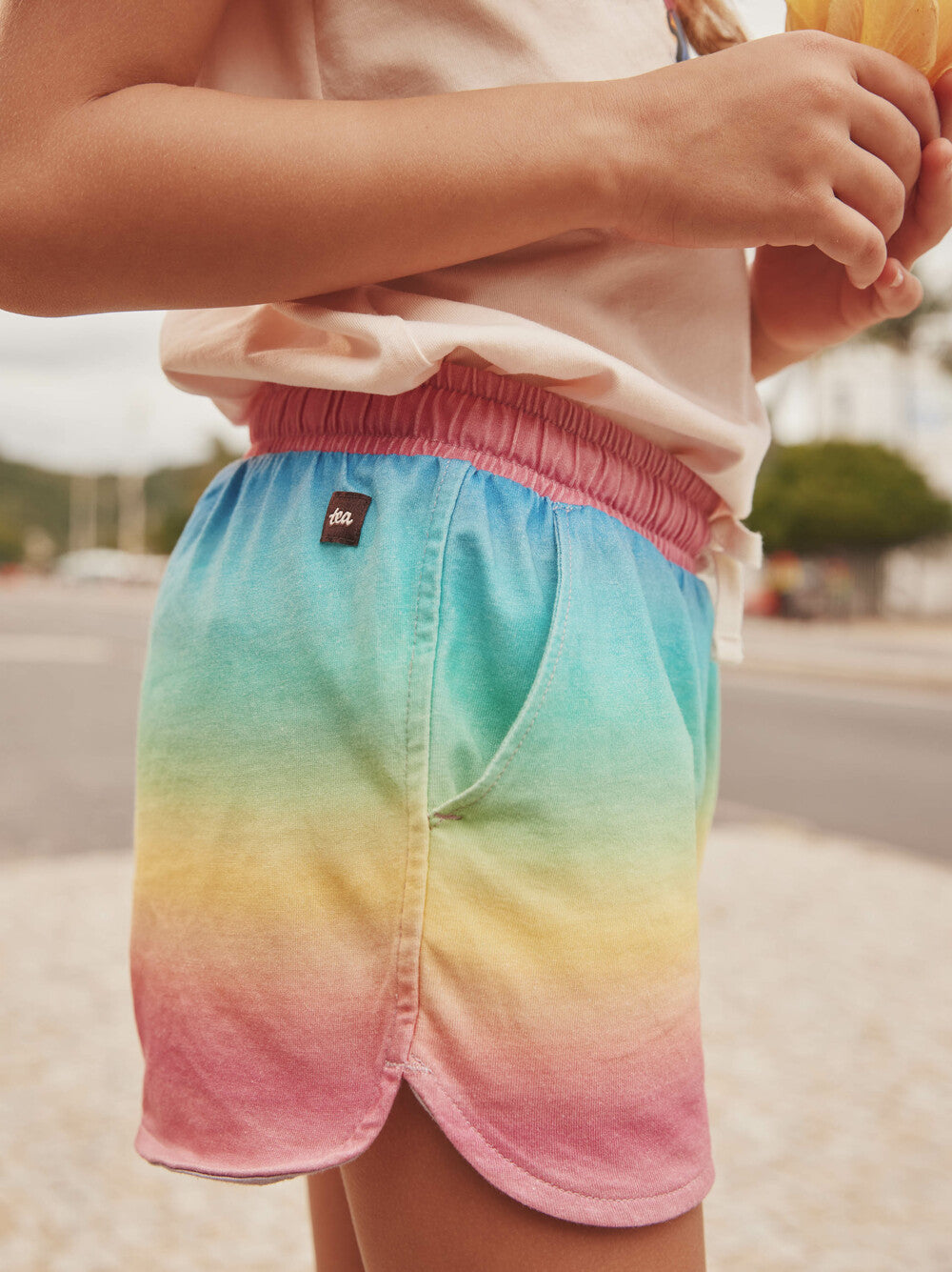 Rio de Janeiro Rainbow Shorts