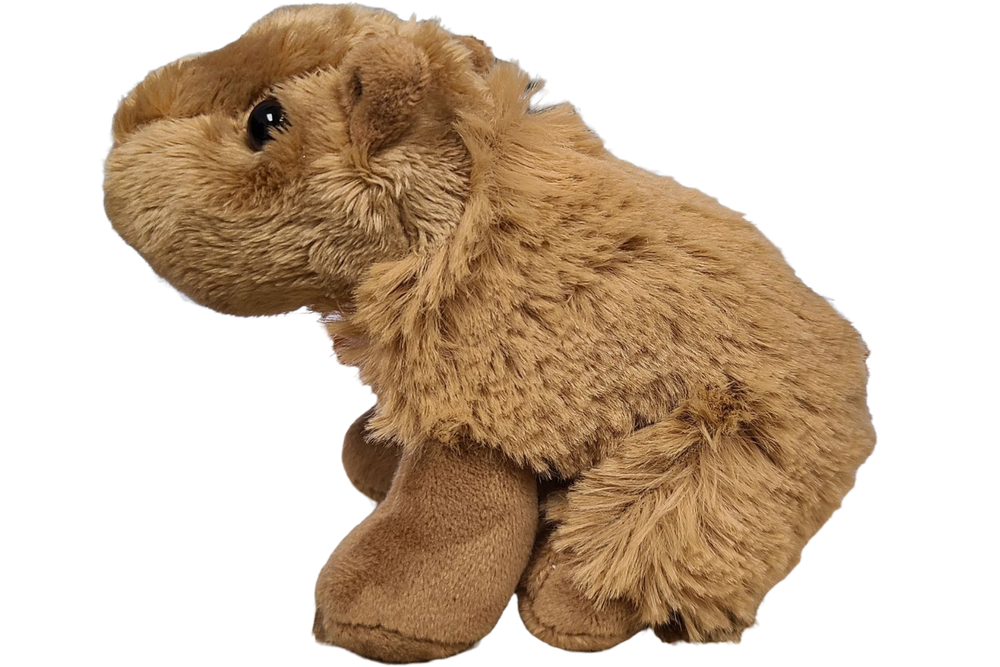 Steve Canned Capybara side