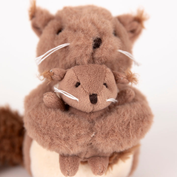 Egmont Squirrel With Baby close
