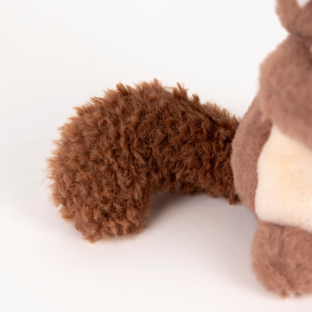 Egmont Squirrel With Baby tail