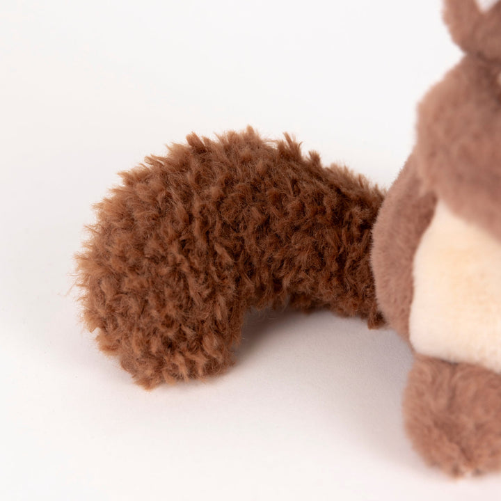Egmont Squirrel With Baby tail