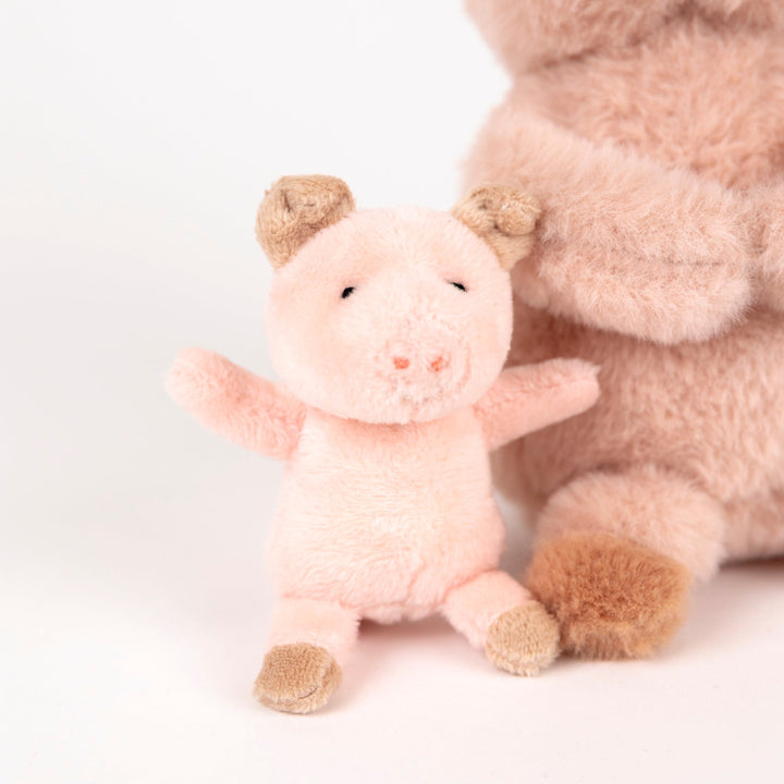 Egmont Squirrel With Baby alone