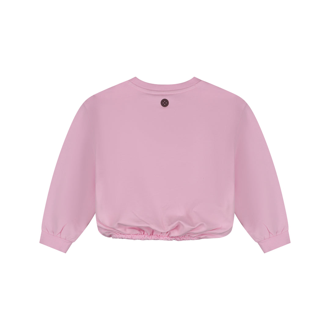 Stain & Stories Babyface Great Adventures Sweatshirt back