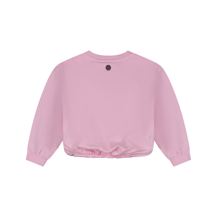 Stain & Stories Babyface Great Adventures Sweatshirt back