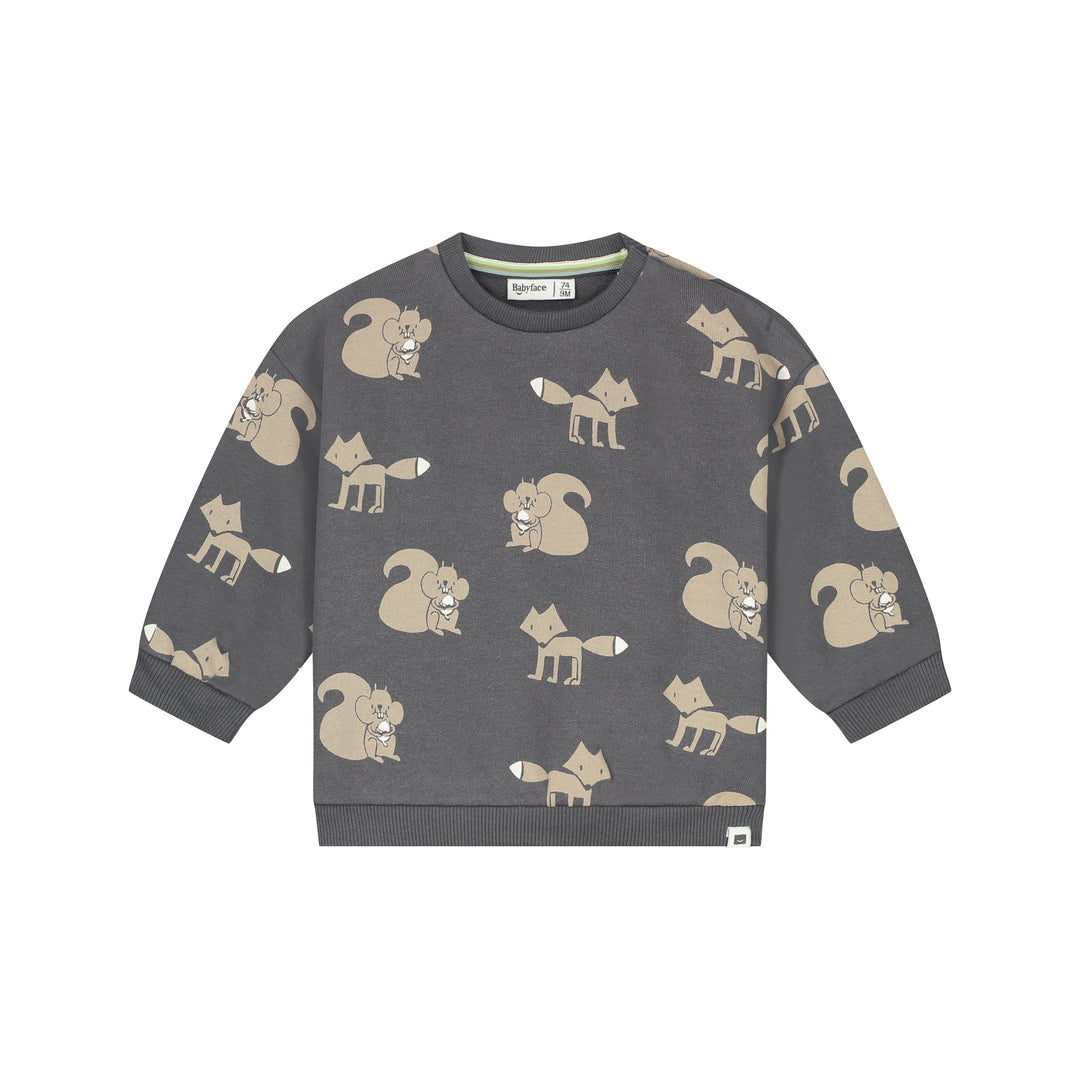 Babyface Squirrel & Fox Sweatshirt