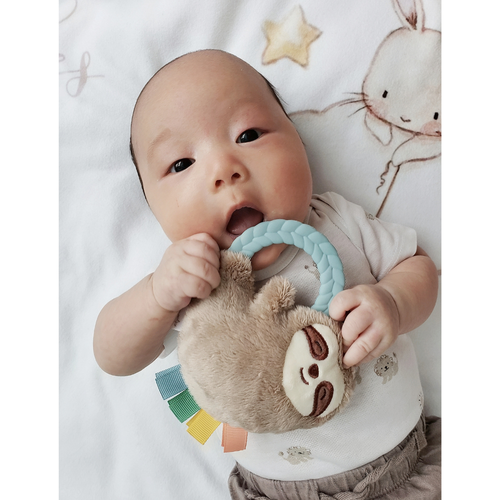 Itzy Ritzy Sloth Ritzy Rattle Pal model