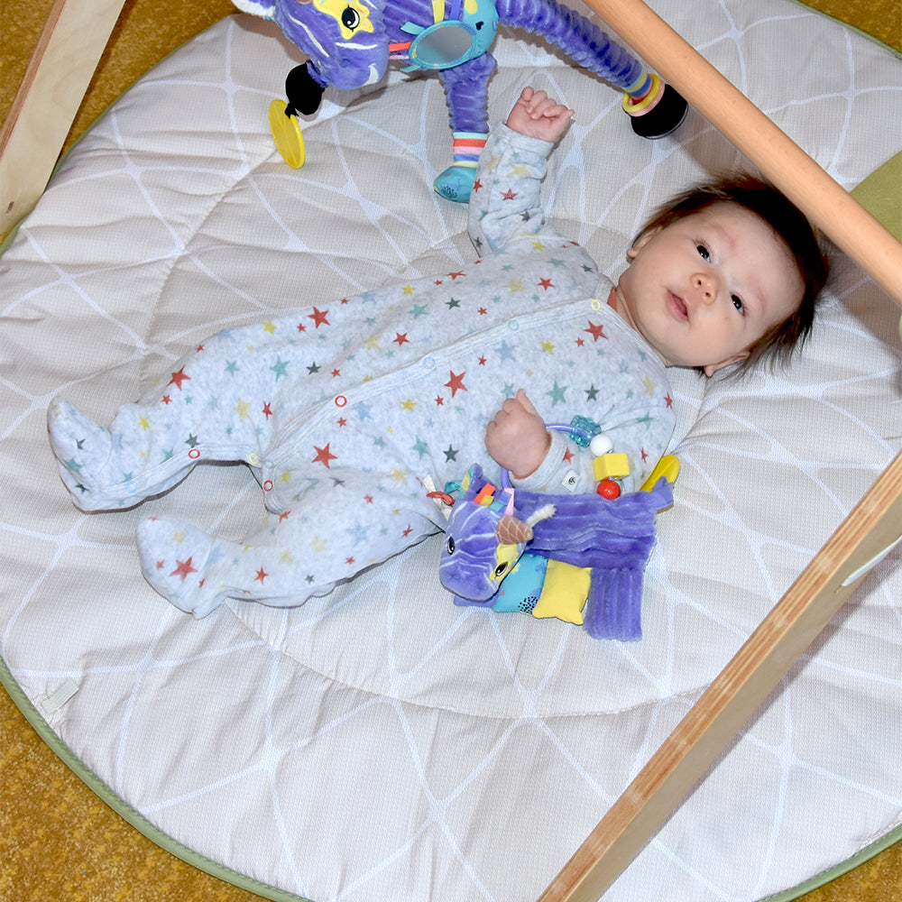 Kiprokos Zebra Activity Rattle model