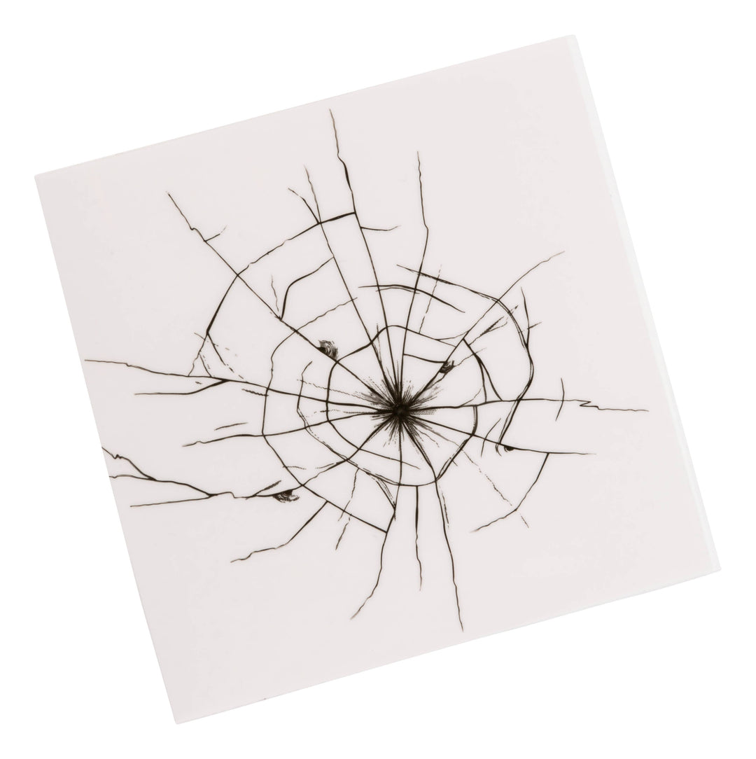 Toysmith Prank U! Stickers glass