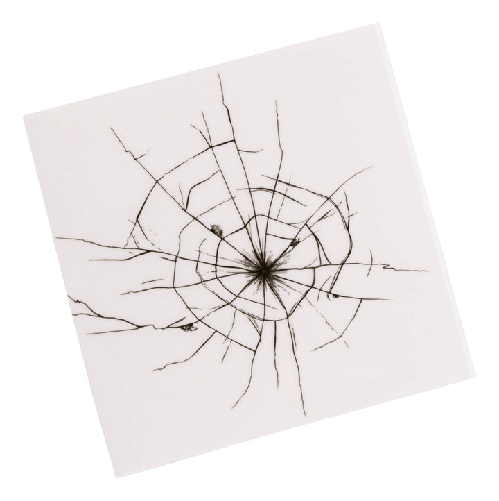 Toysmith Prank U! Stickers glass