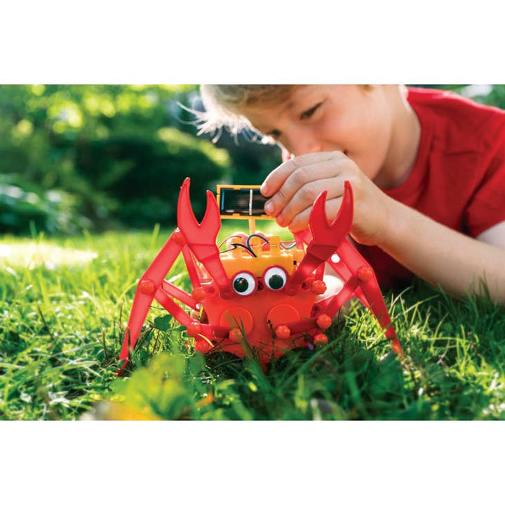 4M Hybrid Crab Kit - Maya Papaya and Tony Macarony