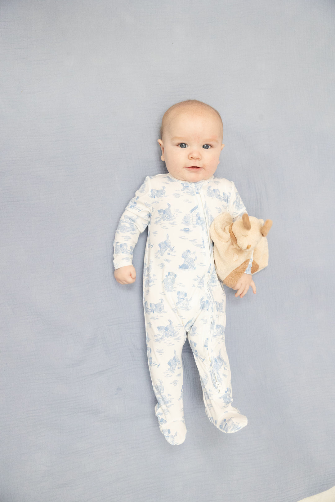 Blue Puppy Toile Footie