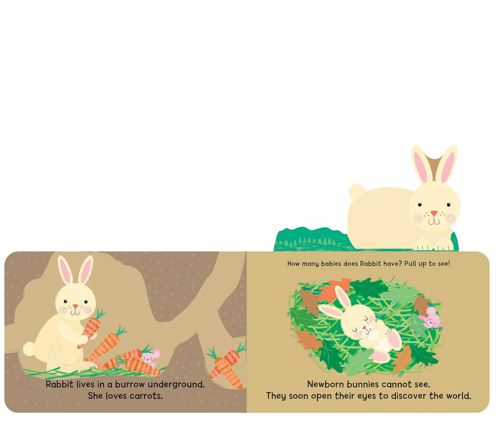 Woodland Babies book bunny