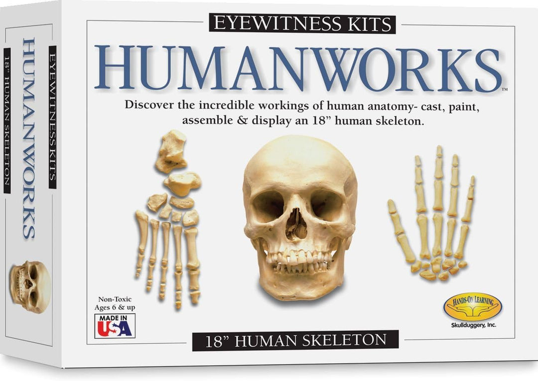 Eyewitness Kits Humanworks