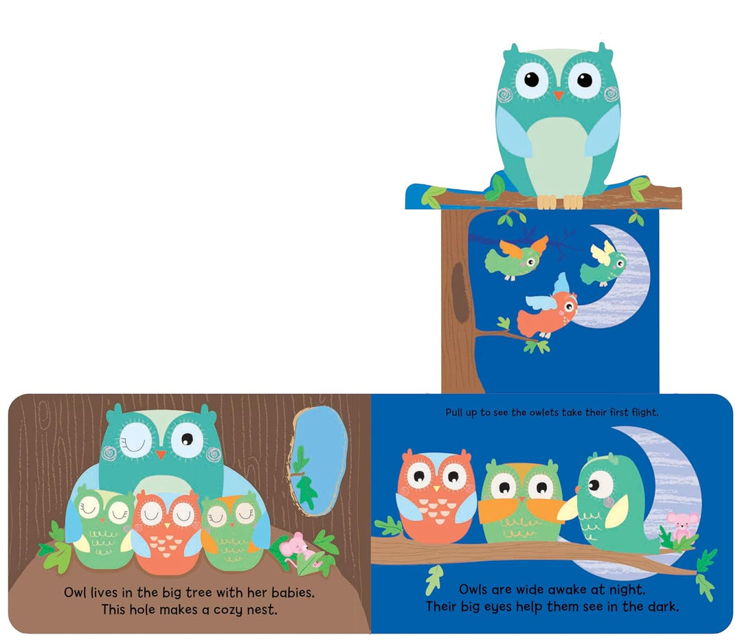 Woodland Babies book owl