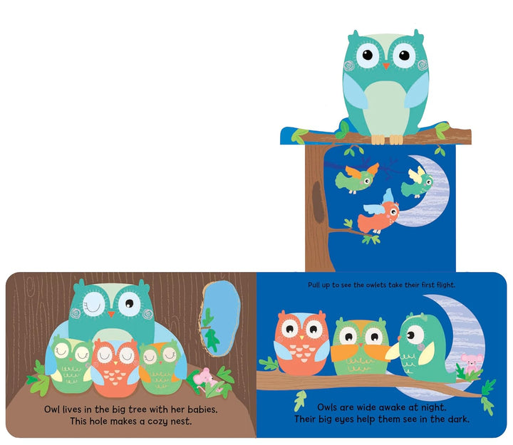 Woodland Babies book owl