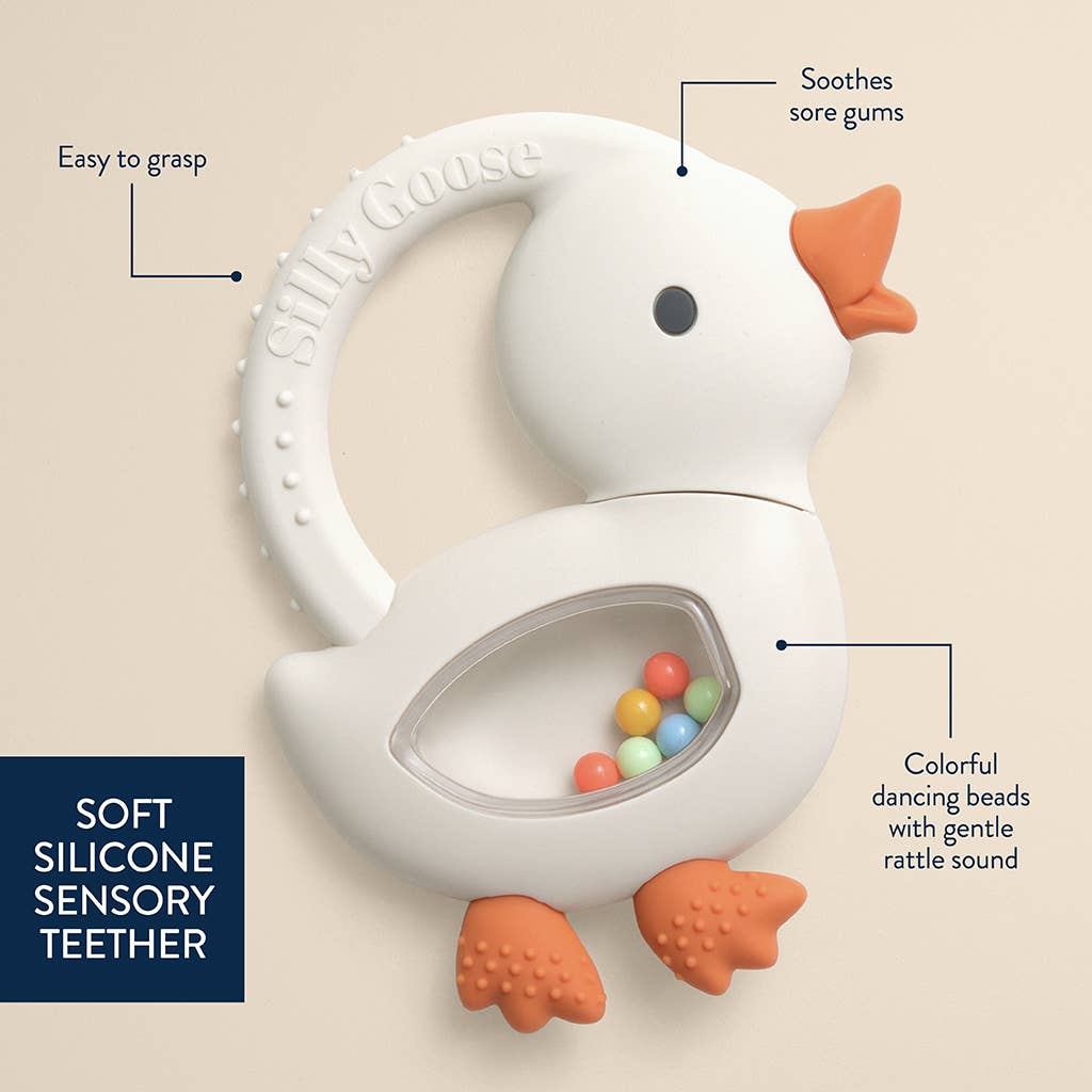 Itzy Ritzy Goose Bitzy Shake features