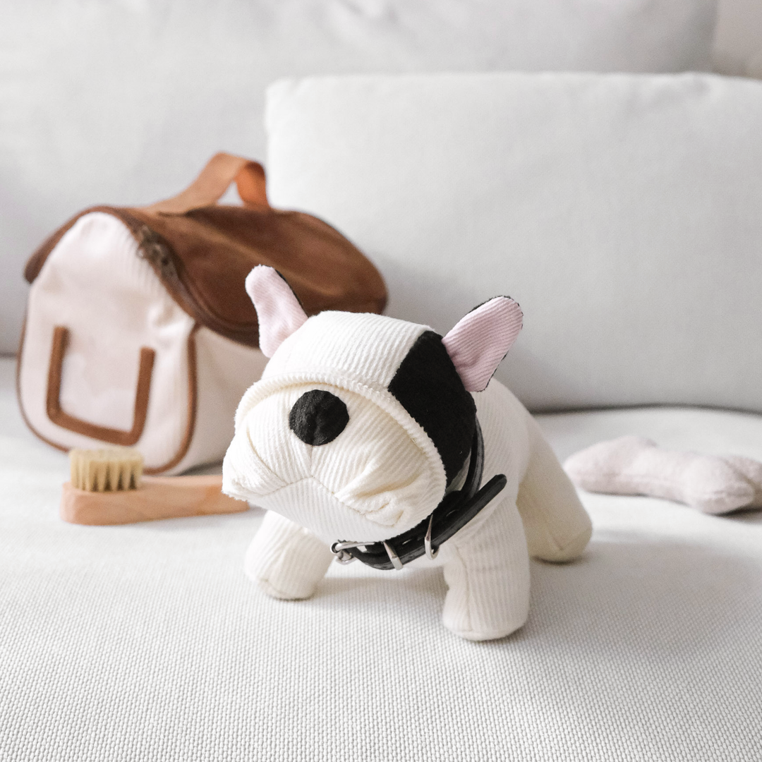 Little Lamb Kind Barkley & House