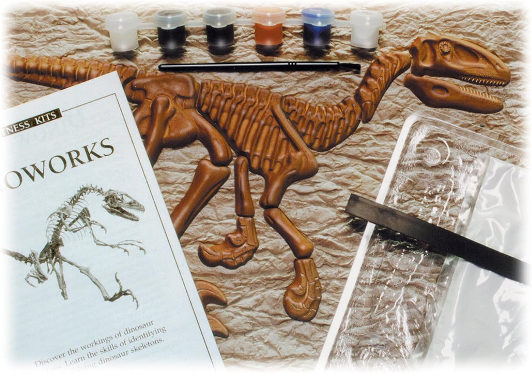 Dinoworks Eyewitness Kit contents