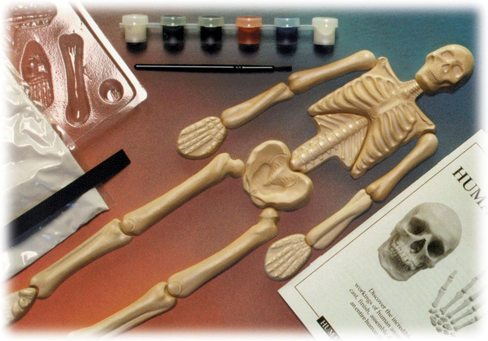 Eyewitness Kits Human works contents