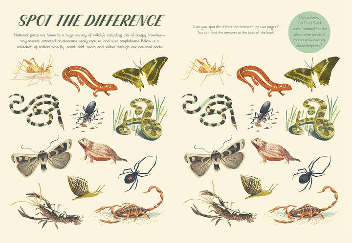 National Parks of the USA Activity Book