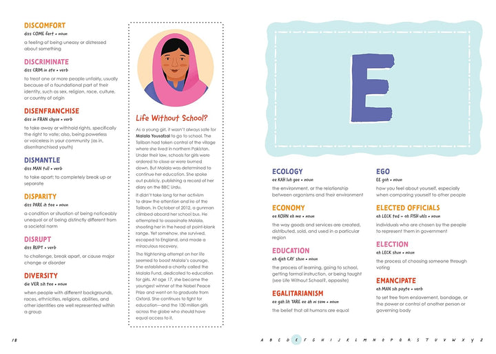 Young Activist's Dictionary of Social Justice book e