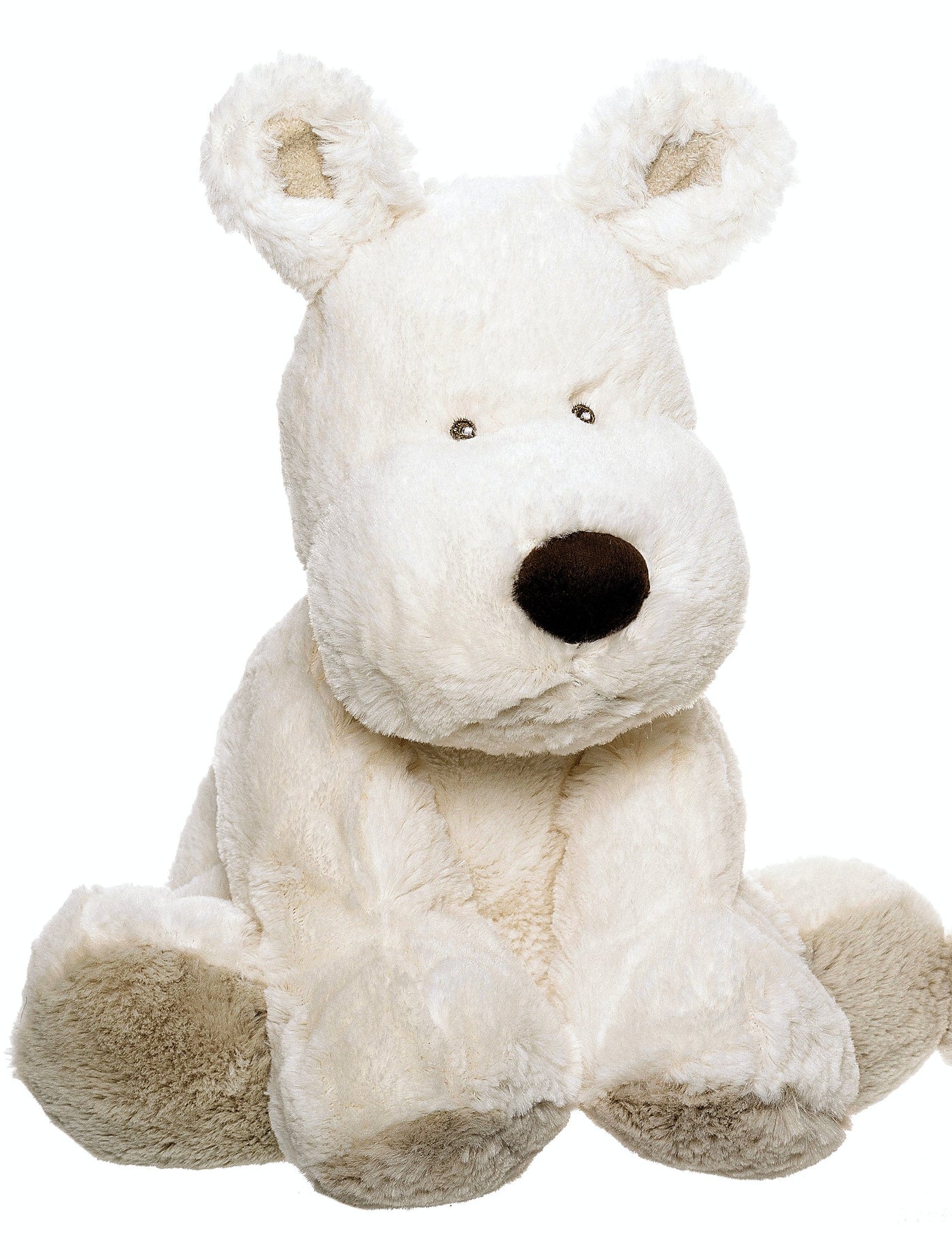 Teddy Cream Dog in White