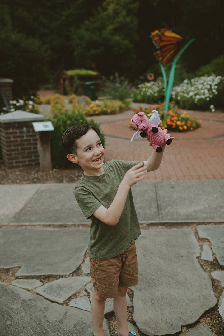 Flying Pig model
