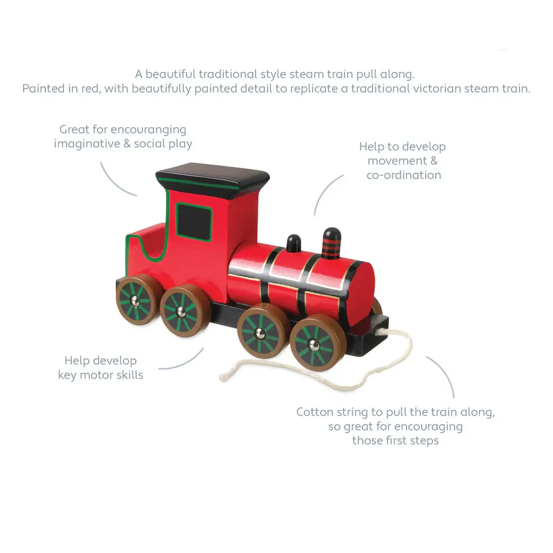 Orange Tree Toys Steam Train Pull Along features