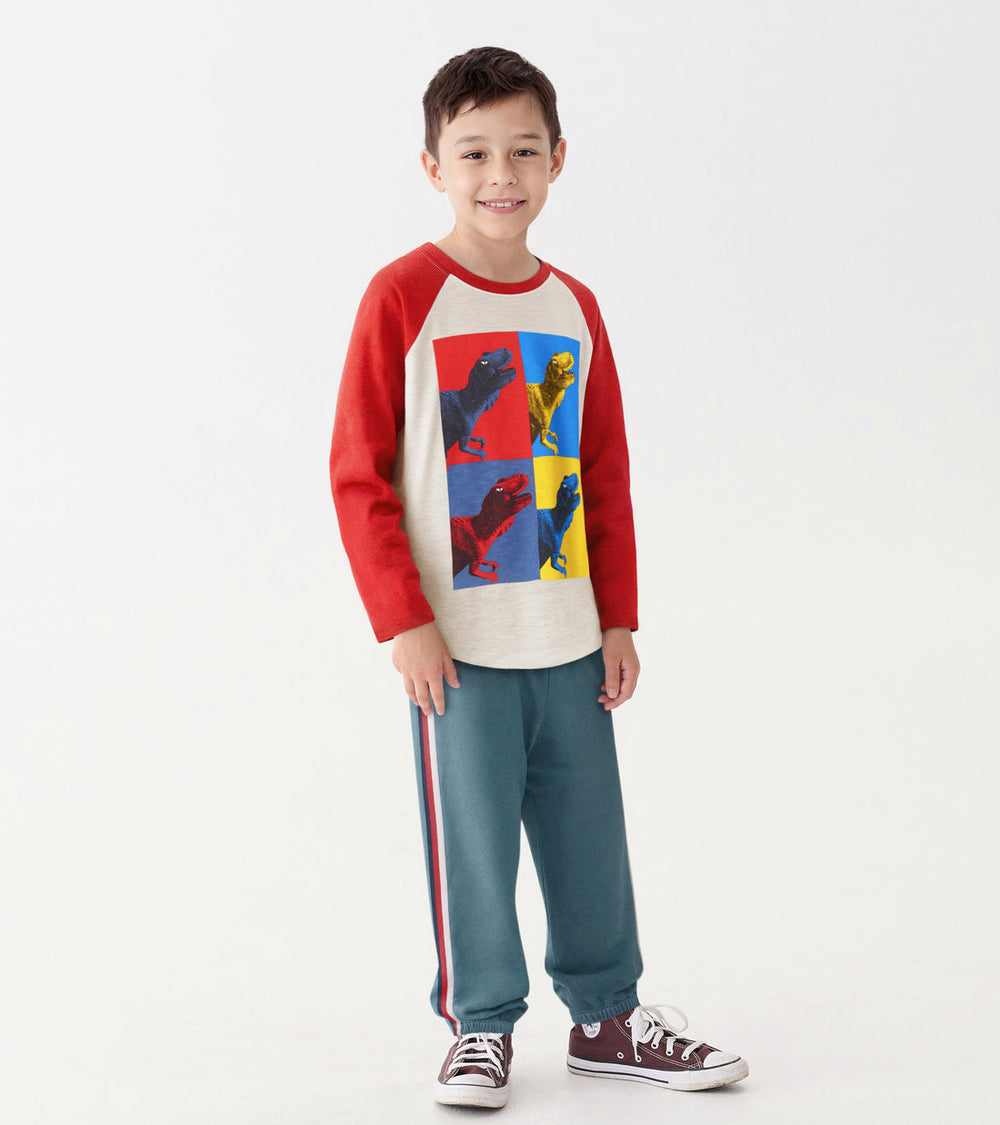 Hatley Dinos Cubed Raglan Tee model