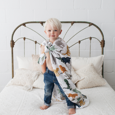 Dino Friends Swaddle