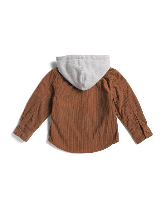 Appaman Glen Hooded Shirt In Brown Corduroy back