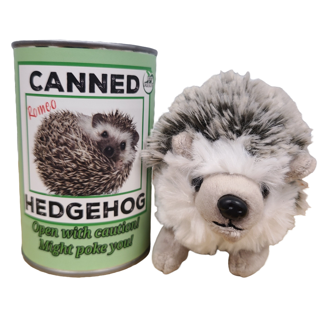 Canned Gifts Canned Hedgehog