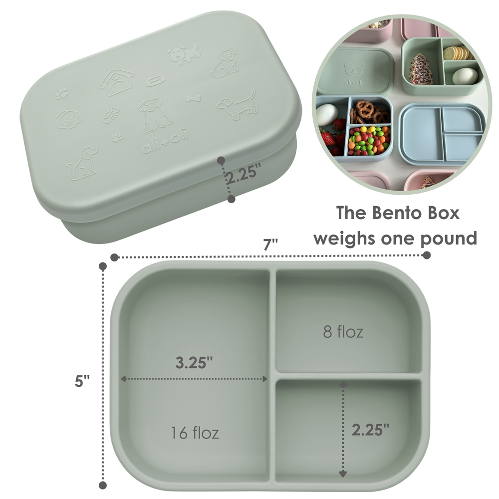 Ali+Oli Silicone Bento Box features