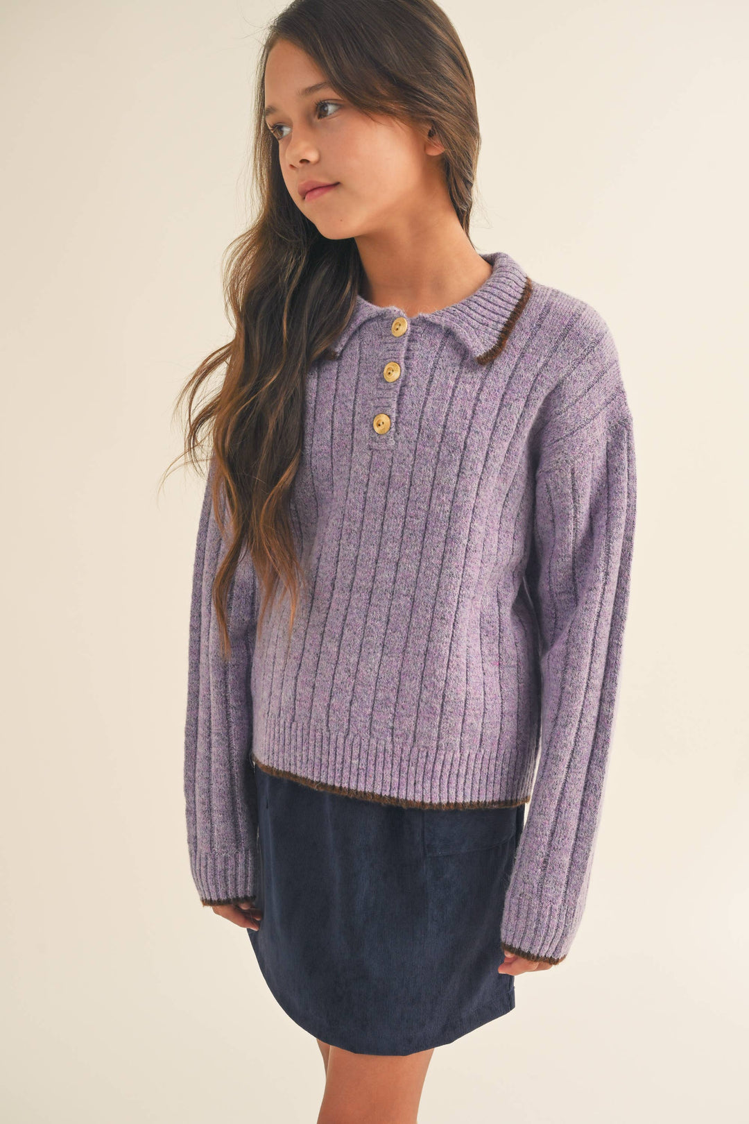 Heart & Arrow Lavender Ribbed Polo Sweater