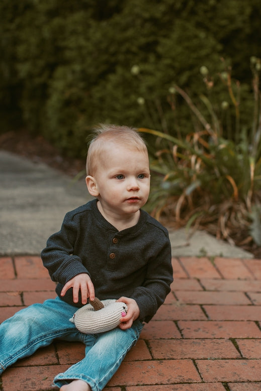 Friendly Pumpkin Rattle