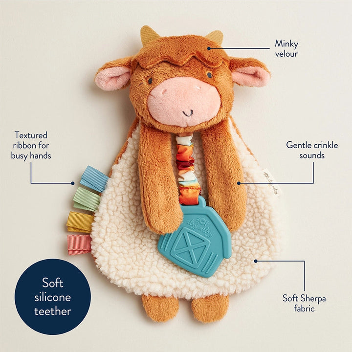Itzy Lovey Wyatt the Highland Cow features