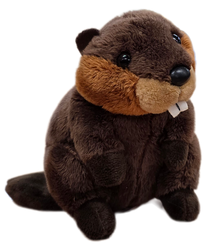 Canned Gifts Canned Beaver plush