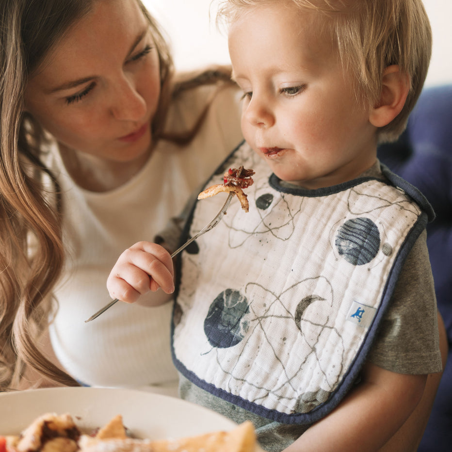Little Unicorn Planetary Bib planets model