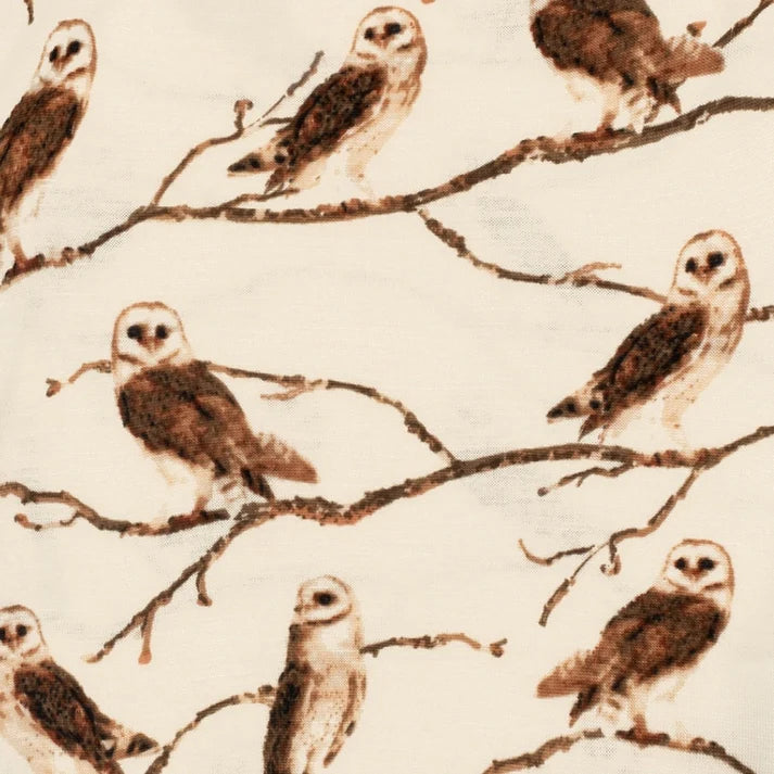 Owls Footie